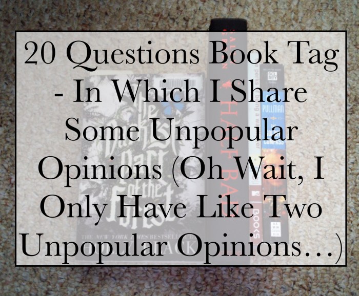 20 Questions Book Tag